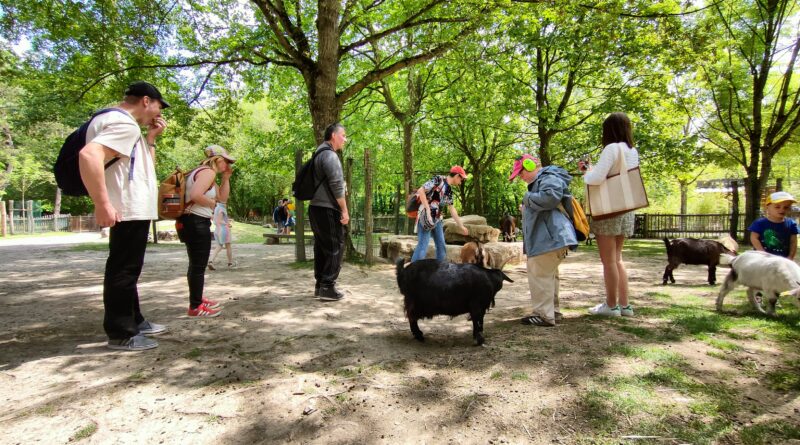 Parc de Sainte-Croix